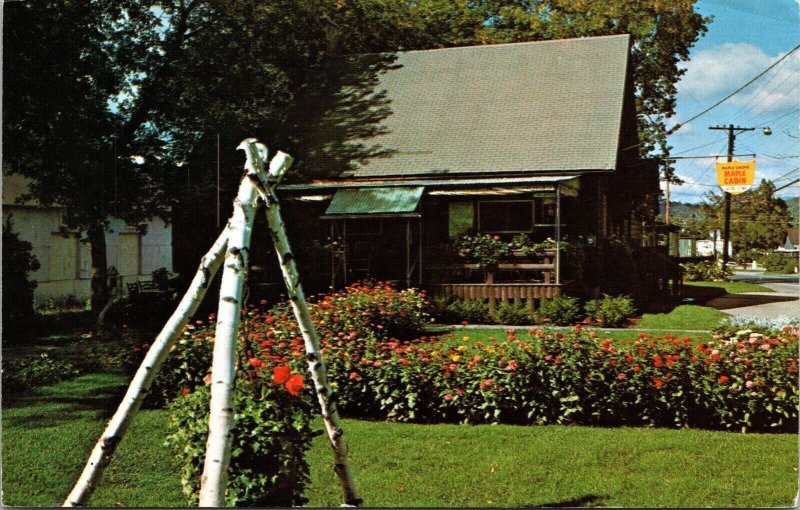 Historic Maple Cabin Maple Museum St Johnsbury Vermont Chrome Postcard 