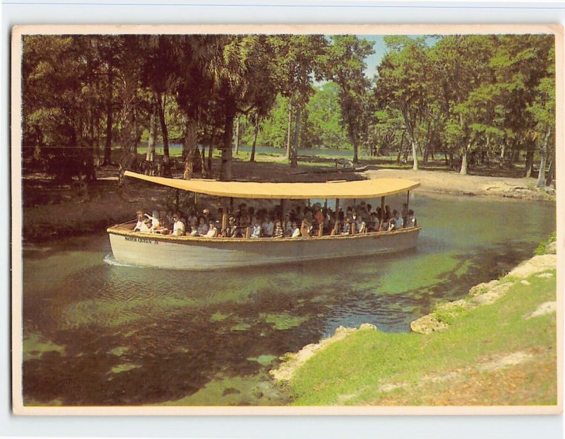 Postcard Jungle Cruise, Florida's Silver Springs, Florida
