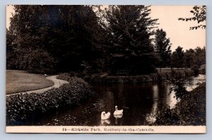 J95/ Roxbury-In-The-Catskills New York RPPC Postcard c1920s Kirkside Park 131