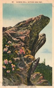 Vintage Postcard 1940's Blowing Rock Western North Carolina Asheville Post Card