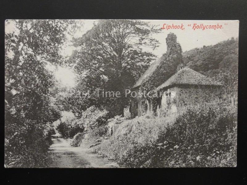 Hampshire HOLLYCOMBE Liphook - Old Postcard by Inge's Series