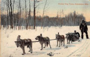 Edmonton Canada Husky Dog Team Vintage Postcard JH230892