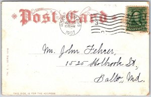 1907 Greetings From Boston Massachusetts Flowers Posted Postcard