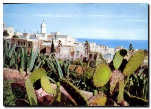 Modern Postcard Sidi Bou Said Vue Generale