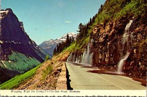 Montana Glacier National Park Weeping Wall On Going-To-The-Sun Road