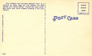 St Augustine Alligator & Ostrich Farm