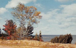 Michigan's Great Lakes Shoreline A Cloud Decked Blue Sky Great Lakes MI 