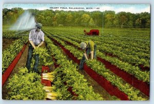 Kalamazoo Michigan MI Postcard Celery Field Farming Harvest 1940 Vintage Antique