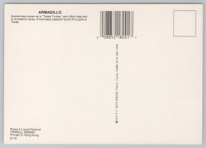 Animal~Armadillo~aka Texas Turkey~Featured In Armadillo Races~Continental PC 