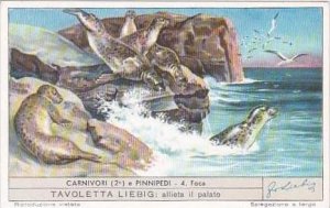 Liebig Trade Card S1586 Carnivores II No 4 Foca