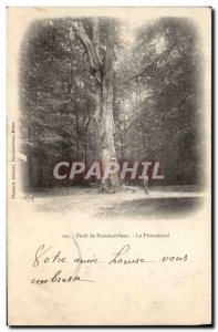 Old Postcard Tree Forest of Fontainebleau The Pharamond