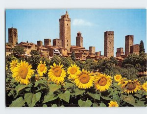 Postcard General view, The Tower, Citta' Di San Gimignano, Italy