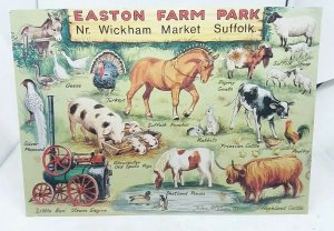 Vintage Postcard Easton Farm Park Wickham Market 1988 VGC