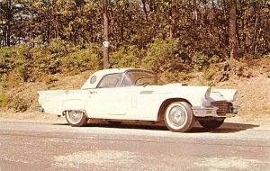 1957 Ford Thunderbird Unused 