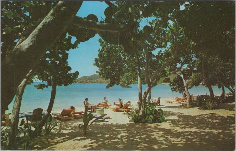 Postcard The Island Beachcomber Hotel St Thomas Virgin Islands