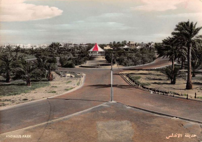 Bahrain Andalus Park Scenic View Tinted Real Photo Vintage Postcard AA35479