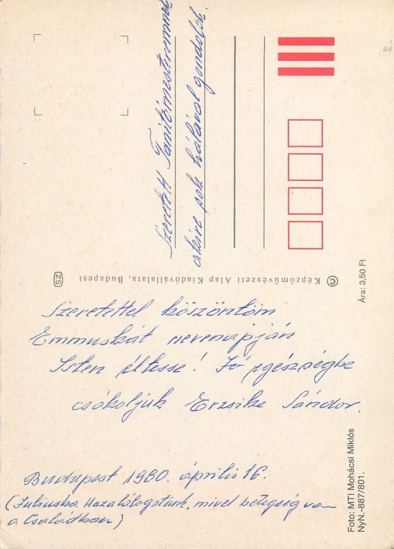 Flowers  bouquet vase multi color   Postcard