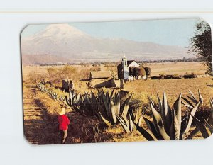 Postcard View of the Popocatepetl volcano and Tlalmnalco's church, Mexico