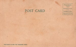 HALCYON HALL MIAMI FLORIDA POSTCARD (1906)