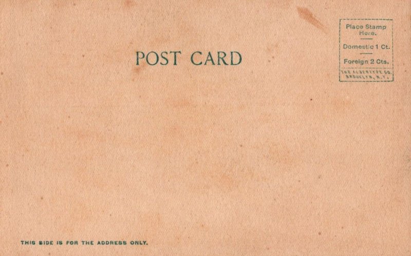 HALCYON HALL MIAMI FLORIDA POSTCARD (1906)