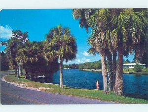 Pre-1980 PANORAMIC New Port Richey by Palm Harbor & Clearwater & Tampa FL AF0543