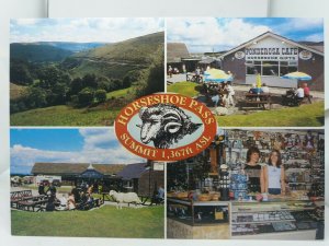 Vintage Multiview Postcard Horseshoe Pass Llangollen Ponderosa Cafe & Gifts