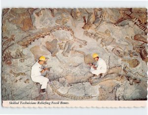 Postcard Skilled Technicians Reliefing Fossil Bones, Dinosaur Nat'l Monument, UT