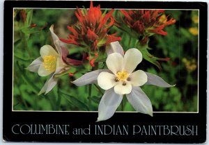 Postcard - Columbine and Indian Paintbrush