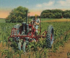 circa 1940's Farmer Tractor Tilling Corn Field Postcard 10c1-703