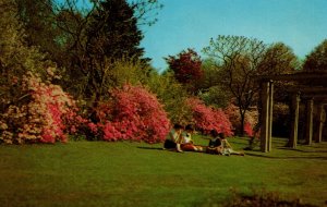 USA Forest Park Flower Garden Springfield Massachusetts Chrome Postcard 08.78