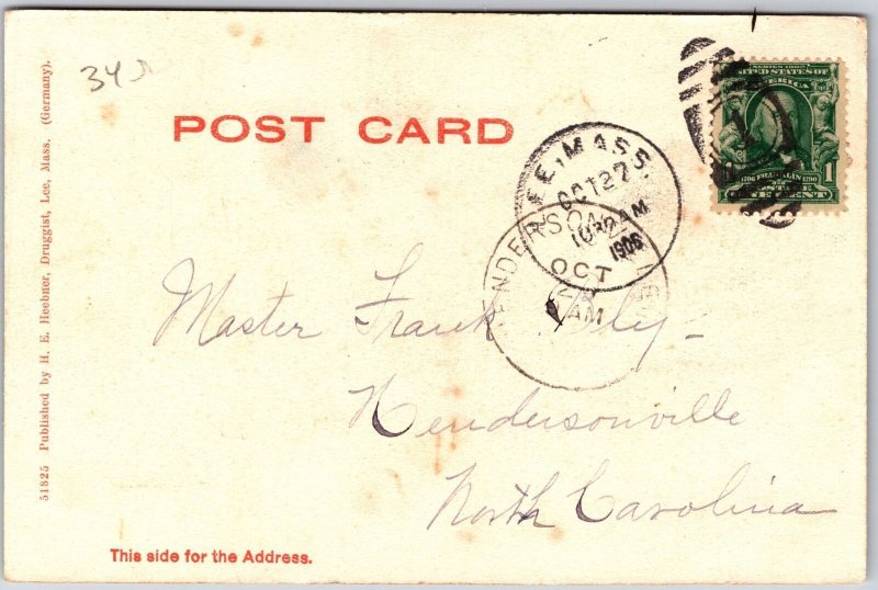 1906 Along The Housatonic River Lee Massachusetts MA Trees Posted Postcard