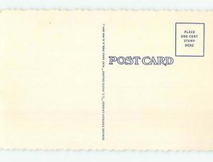 Unused Linen SMITHSONIAN BUILDING Washington DC L4647