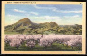 California - Sutter Buttes (USVC 0108)