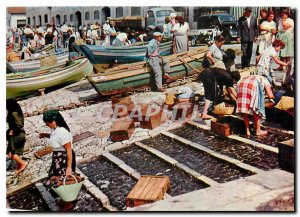 Postcard Modern Lisboa Portugal Faina na lota Ribeira