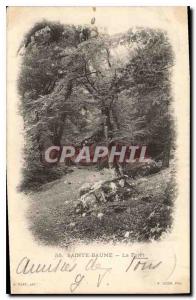 Old Postcard La Sainte Baume La Foret