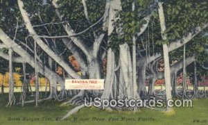 Great Banyan Tree, Edison Winter Home - Fort Myers, Florida FL  