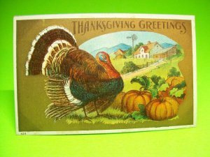 Thanksgiving Greetings Embossed Holiday Postcard 429 Turkey & Pumpkin Patch 1910