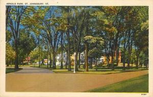 VT. ST. JOHNSBURY-ARNOLD PARK-TOWN VIEW-R87299