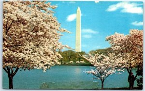 Postcard - Washington Monument - Washington, District of Columbia