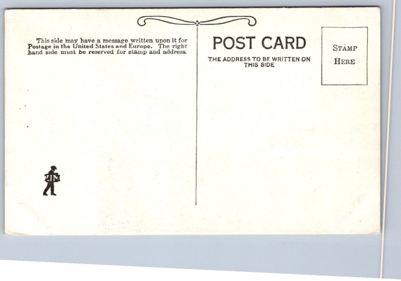 K31/ Waseca Minnesota Postcard c1910 Main Street Stores 331