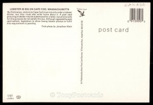 Lobster is big on Cape Cod!