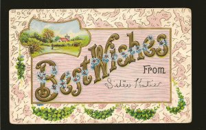 USA Postmarked 1910 Benson Nebr Embossed Best Wishes Color Postcard