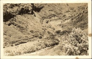 Kauai Hawaii HI Hanapepe Valley Real Photo Vintage Postcard