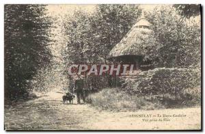 Postcard Old Seignelay La Hutte Gauloise Vue Prize Du Parc