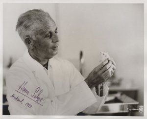 Hans Selye Historic Stress Scientist 10x8 Hand Signed 1970s Photo