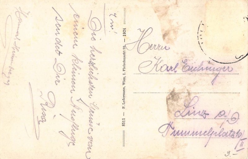 C040 Austria, Johannesbach Klamm 1924 vintage postcard