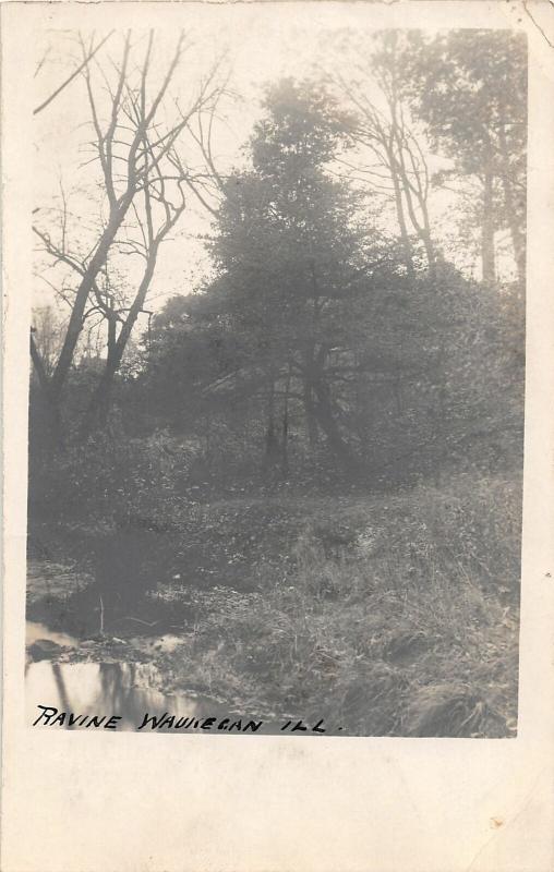 F22/ Waukegan Illinois RPPC Postcard c1910 Ravine View Park 