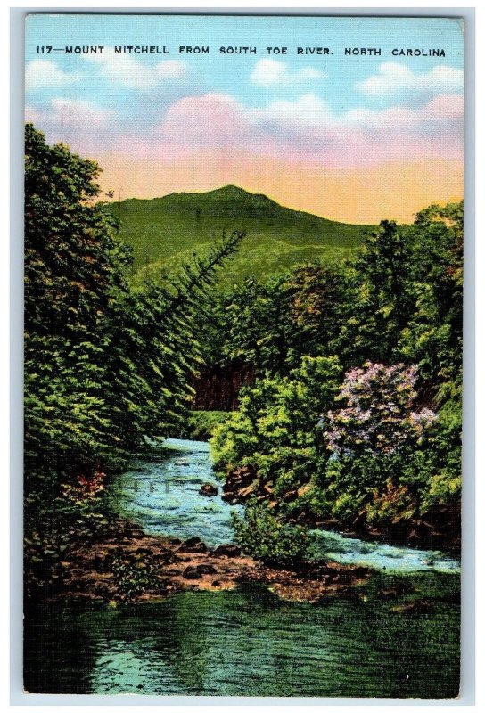 1939 Mount Mitchell From South Toe River View Asheville North Carolina Postcard