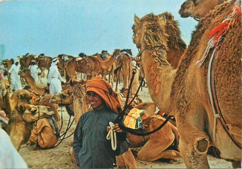 Postcard United Arab Emirates boy with his camel Dubai 1982 