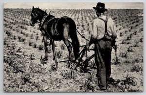 Farming Man With Horse Plow Swan-Finch Oil Corp Advertising Postcard Y23